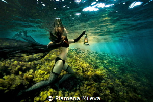 The keys keeper by Plamena Mileva 